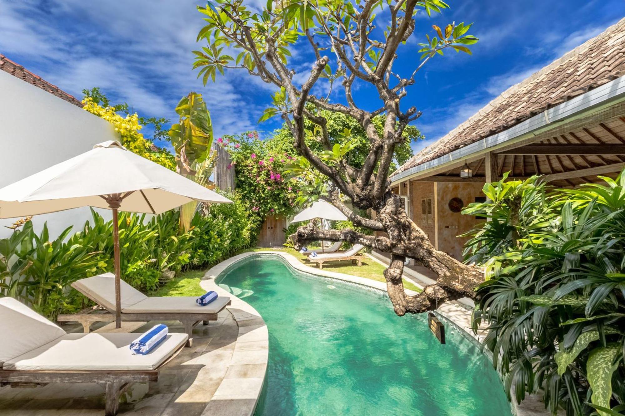 Amsa - Tropical Paradise In Center Villa